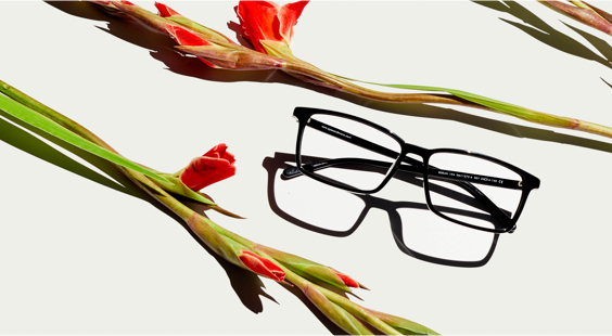 We veroveren de optiekmarkt met onze brillen voor een complete prijs
